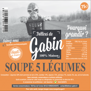 SOUPE 5 LEGUMES 75CL DELICES DE GABIN