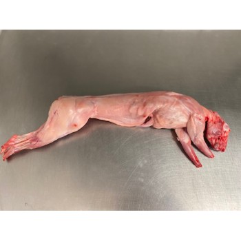 Lapin entier