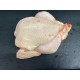 Coquelet