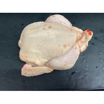 Coquelet