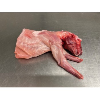 Avant de lapin