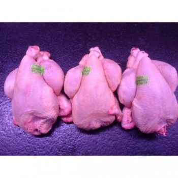 Coquelet